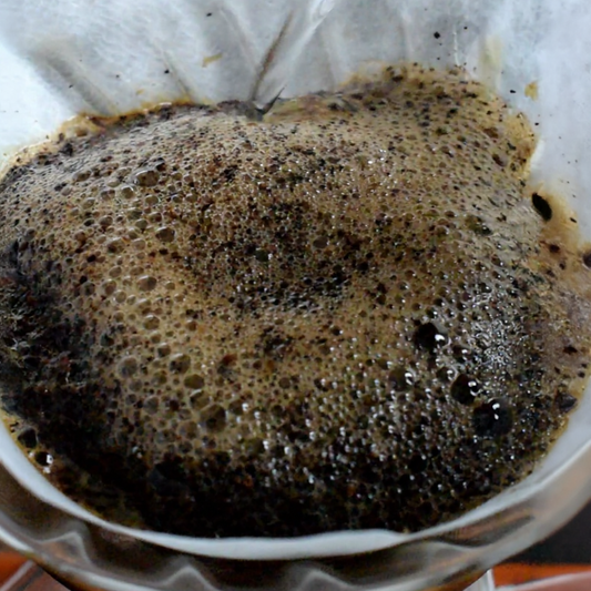 Better Coffee Starts Before You Brew